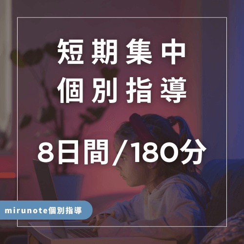 短期集中オンライン個別指導