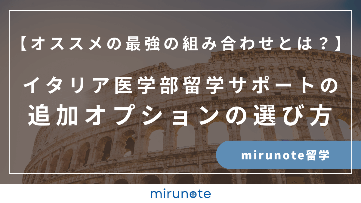 mirunote留学　追加オプションの選び方