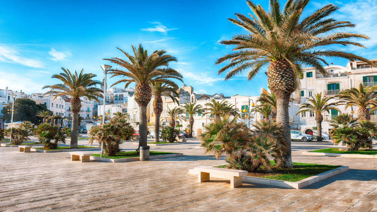 historic central city of the beautiful town called 2025 01 07 15 55 44 utc edited